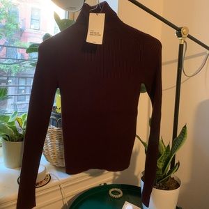 NWT Burgundy Zara Knit Turtleneck